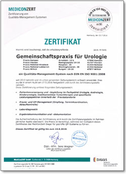 ISO 9001